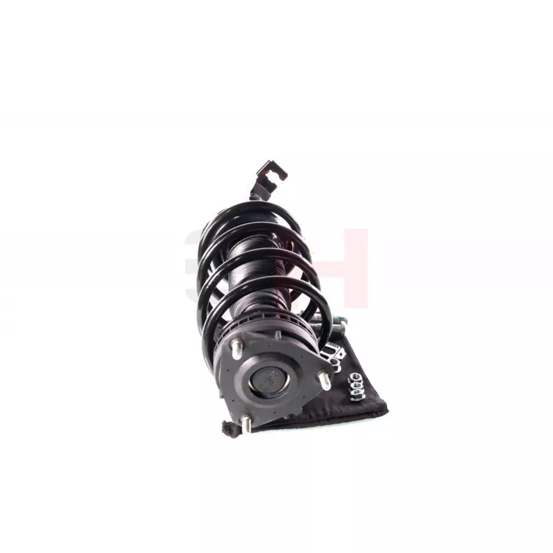 Jambe de suspension GH GH-352532C02 - Visuel 1