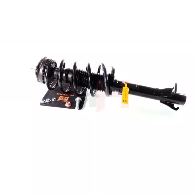 Jambe de suspension GH GH-352555C01 - Visuel 0