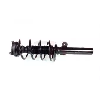 Jambe de suspension GH OEM 1S7118045AB