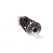 GH GH-352568C03 - Jambe de suspension 
