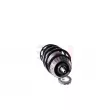 GH GH-352648C02 - Jambe de suspension 