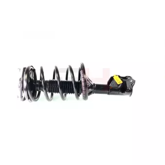 Jambe de suspension GH OEM 61006