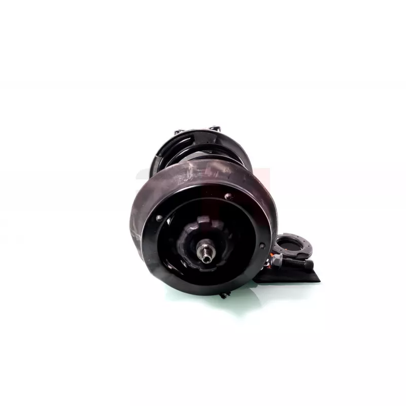 Jambe de suspension GH GH-353300C06 - Visuel 1