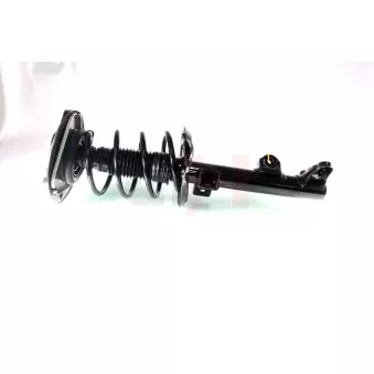 Jambe de suspension GH OEM 2049810025