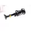 GH GH-353312C01 - Jambe de suspension 
