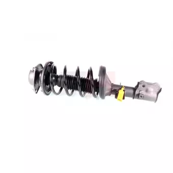 Jambe de suspension GH OEM 546501C300
