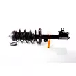 GH GH-353613C02 - Jambe de suspension 