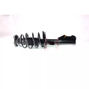 Jambe de suspension GH OEM 13245968
