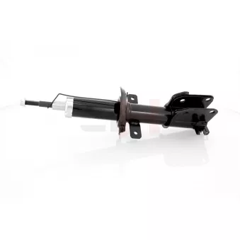 Jeu de 2 amortisseurs avant GH OEM 543025750R