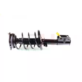 Jambe de suspension GH OEM 543022646R