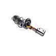 GH GH-353983C02 - Jambe de suspension 