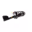 GH GH-353989C02 - Jambe de suspension 