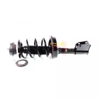 Jambe de suspension GH OEM 543A00300R