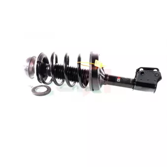 Jambe de suspension GH OEM 543A00300R