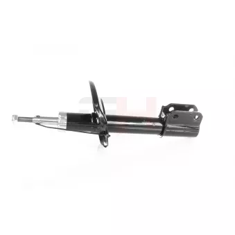 Jeu de 2 amortisseurs avant GH OEM 543023390R