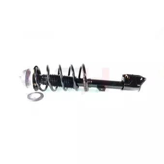 Jambe de suspension GH OEM 543025648R
