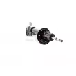 GH GH-354010H - Amortisseur arrière droit