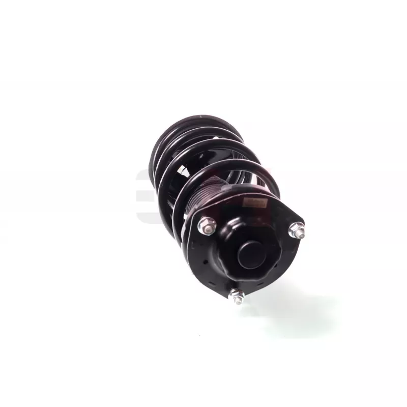 Jambe de suspension GH GH-354512C01 - Visuel 1