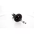GH GH-354531H - Amortisseur arrière droit