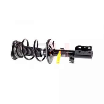 Jambe de suspension GH OEM 4852009890