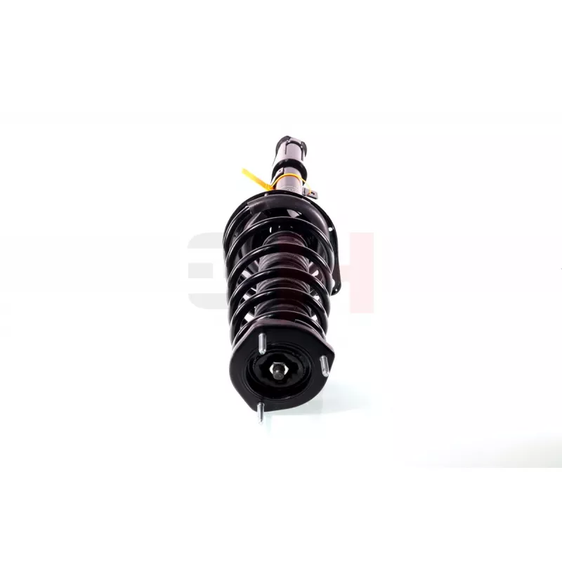 Jambe de suspension GH GH-354569C01 - Visuel 1