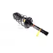 GH GH-354581C02 - Jambe de suspension 