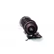 GH GH-354706C01 - Jambe de suspension 