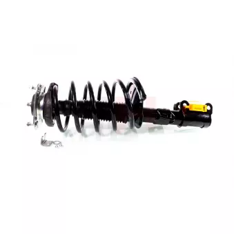 Jambe de suspension GH OEM 91E10010