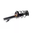 GH GH-354850C01 - Jambe de suspension 