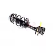 GH GH-355248C01 - Jambe de suspension 