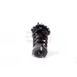 GH GH-356301C01 - Jambe de suspension 