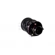 GH GH-359320C01 - Jambe de suspension 