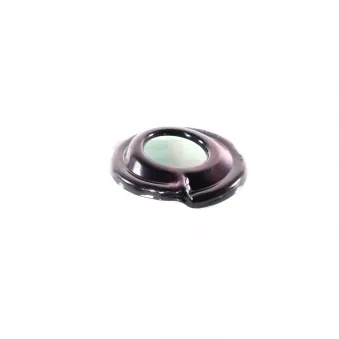 Patin de ressort GH OEM 1090422