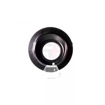 Patin de ressort GH OEM 546102B100