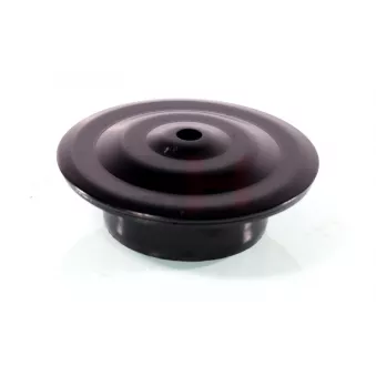 Patin de ressort GH OEM 191512113