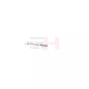 Vis, bout d'essieu GH OEM 07119906495