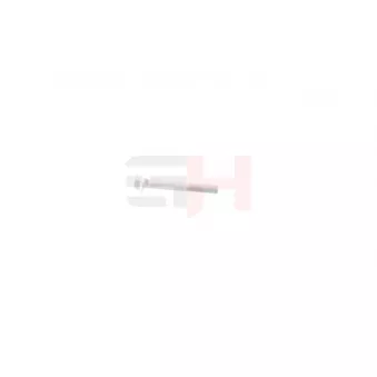 Vis, bout d'essieu GH OEM 33326760346