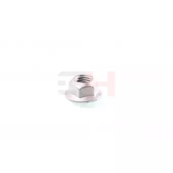Écrou, bout d'essieu GH OEM 46801948