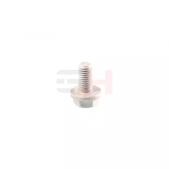 Vis GH OEM 7703101566