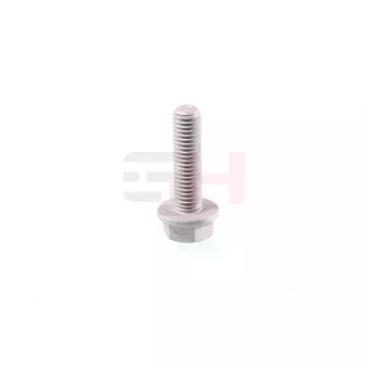 Vis GH OEM N91246401