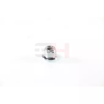 Écrou, bout d'essieu GH OEM N10106402