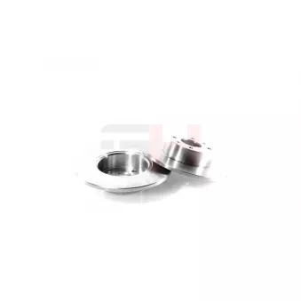 Jeu de 2 disques de frein arrière GH OEM 60658566