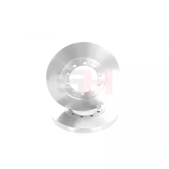 Jeu de 2 disques de frein arrière GH OEM 2262937