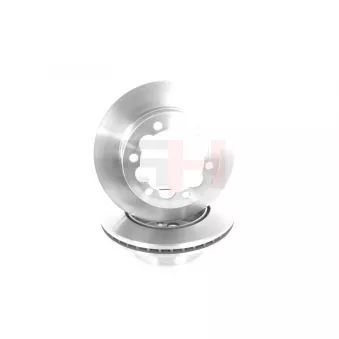 Jeu de 2 disques de frein arrière GH OEM 2E0615601