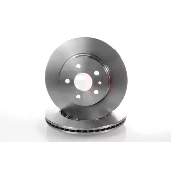 Jeu de 2 disques de frein arrière GH OEM 13501303
