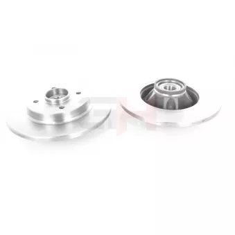 Jeu de 2 disques de frein arrière GH OEM 42494689