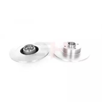 Jeu de 2 disques de frein arrière GH OEM 8660001812