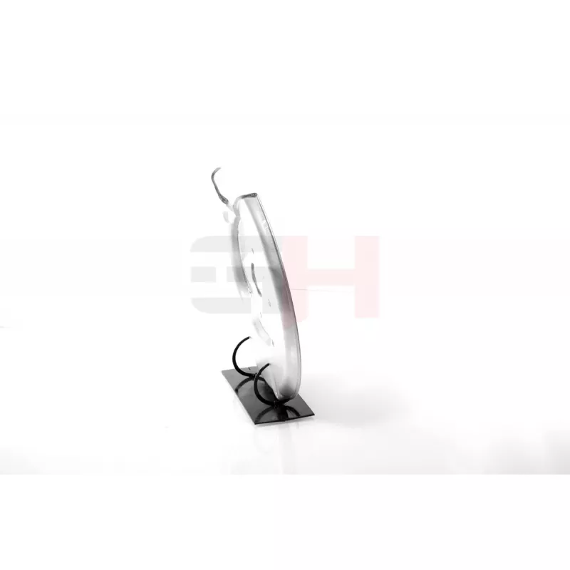 Déflecteur, disque de frein arrière gauche GH GH-484870V - Visuel 1