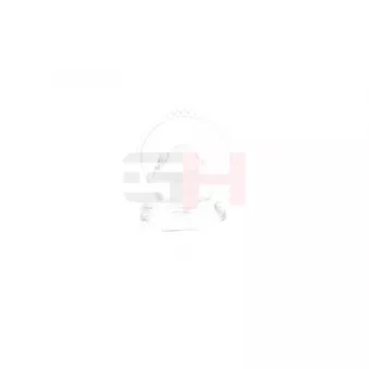 Anneau de palpeur, ABS GH GH-493981