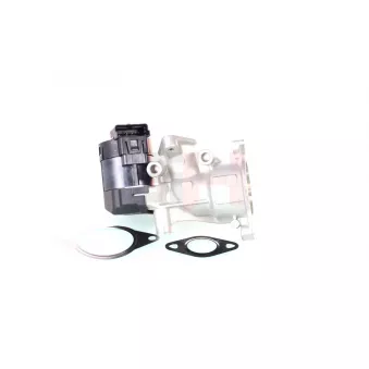 Vanne EGR GH OEM 1231964